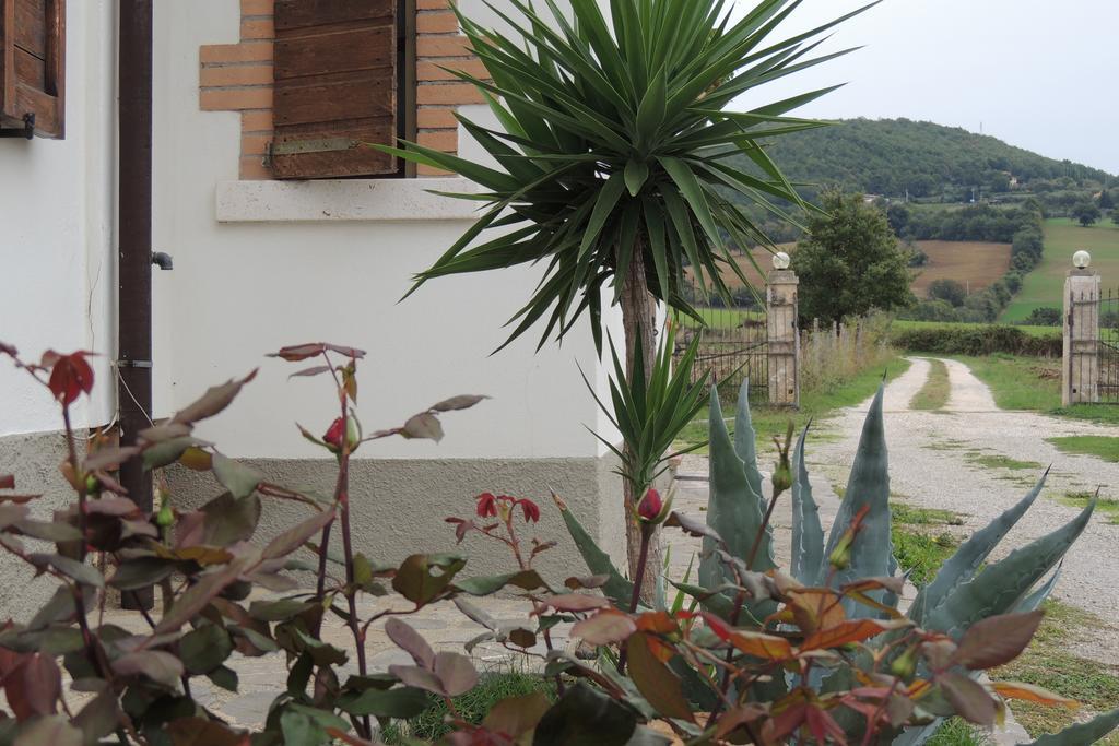 Agriturismo Il Cavallino Saturnia Semproniano Exterior photo